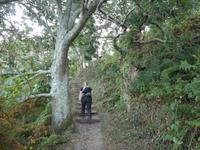 Jersey, Wanderung Nordküste