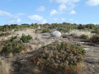Jersey, Wanderung Südküste