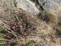 Jersey, Wanderung Südküste