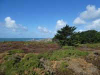 Jersey, Wanderung zum Corbier Leutturm