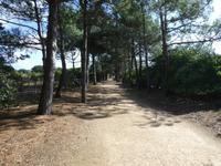 Jersey, Corbier Walk