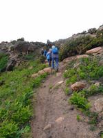 Jersey, Küstenwanderung 