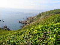 Guernsey, Nordküste