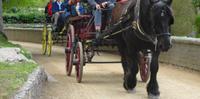 Sark, Pferdekutsche 