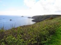 Sark, Spaziergang an der Küste 
