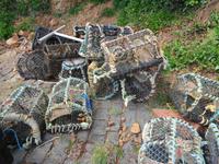 Sark, Reusen im Alten Hafen 