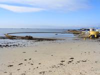 Jersey, Meerwasserpool vor dem Hotel Ommaroo bei Ebbe