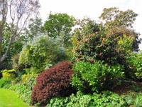 Jersey, Garten der Familie Lea