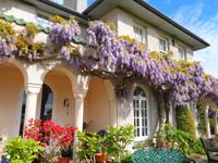 Jersey, Anwesen der Familie Lea