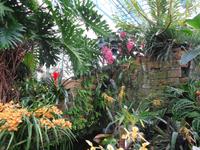 Jersey, Eric Young Orchid Foundation