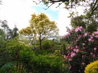 Jersey, Garten der Familie Lea