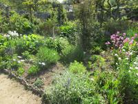 Wilde Blumenpracht in den Seigneurie Gärten- ein lohnenswerter Besuch