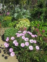 Frühling in den Seigneurie Gärten - Insel Sark