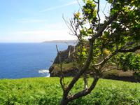 Jersey, Küstenwanderung vom Grosnez Castle zum Devil's Hole