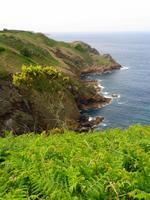 Jersey, Küstenwanderung vom Grosnez Castle zum Devil's Hole
