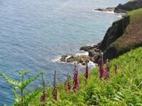 Jersey, Küstenwanderung vom Grosnez Castle zum Devil's Hole