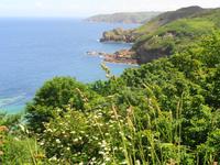 Jersey, Küstenwanderung vom Grosnez Castle zum Devil's Hole