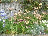 Sark - La Seigneurie