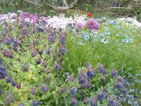 Sark - La Seigneurie