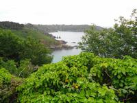 Guernsey, Küstenspaziergang 