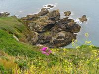 Guernsey, Küstenspaziergang 