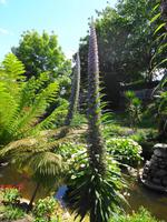 Guernsey, Candie Gardens