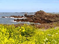 Guernsey, Küste