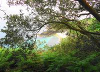Jersey, Küstenwanderung von der Bonne Nuit Bay zur Rozel Bay 