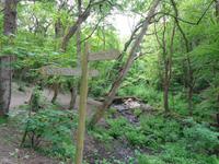 Jersey, Küstenwanderung von der Bonne Nuit Bay zur Rozel Bay 