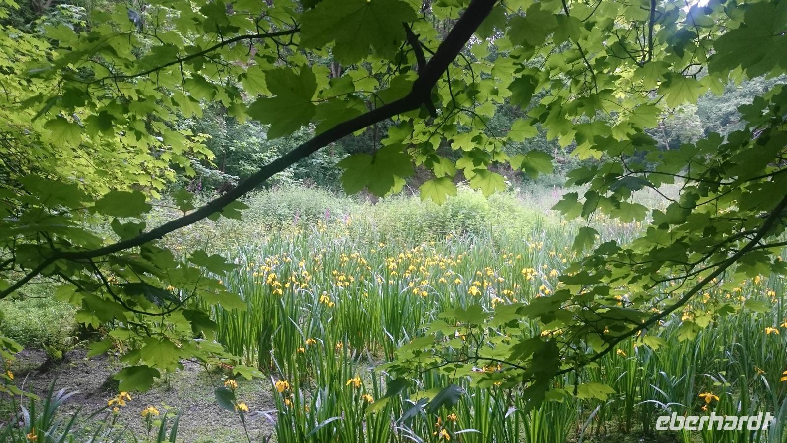 Jersey, Wanderung entlang der 