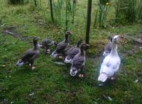 Jersey, Wanderung entlang der 