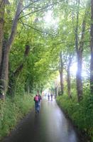 Jersey, Wanderung entlang der 