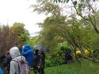 im Garten von Mrs. Lea