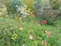 im Garten von Mrs. Lea