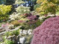 Botanischer Garten Samares Manor