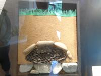 Jersey Hogue Bie Museum