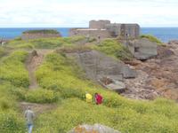 Guernsey - Fort Hommet