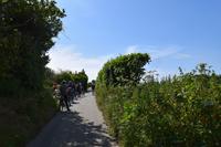 schmale asphaltierte Radwege über die hügelige Insel Jersey