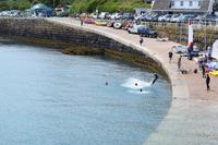 Verclut Point St. Catherine´s Bay