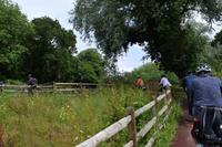 separater Radweg nach Norden der Insel Jersey