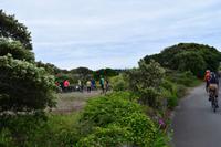 Stopp an einem steinzeitlichen Hügelgrab