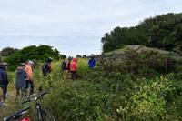 Stopp an einem steinzeitlichen Hügelgrab