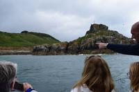 Kleine Inseln dienen den Vogelkolonien als Brutstätte