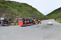 Traktoren bringen mit ihren Hängern die Touristen vom Hafen ins Dorf La Seigneurie  