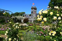 Im Garten in La Seigneurie