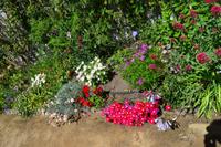 Im Garten in La Seigneurie