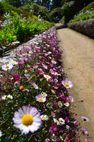 Im Garten in La Seigneurie