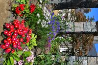 Im Garten in La Seigneurie