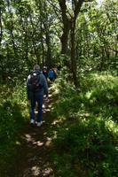 Wanderung zum Window in the Rock