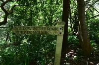 Wanderung zum Window in the Rock